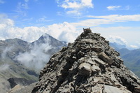 La cresta e punta del Fort